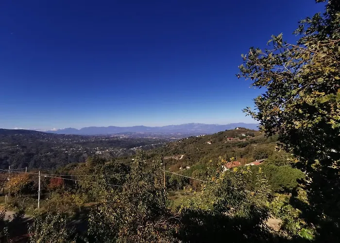 住宿加早餐酒店 Al Casereccio 科里利亚诺·卡拉布罗